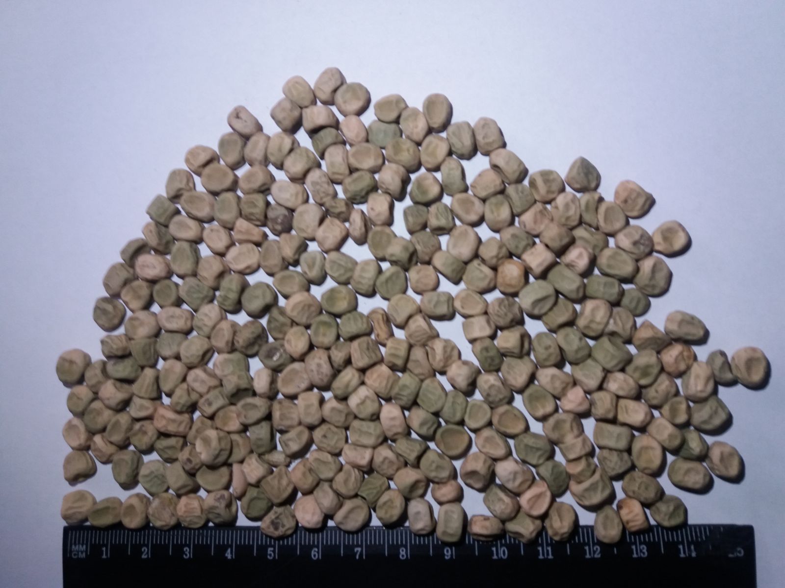 Green peas whole